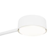 Потолочный светильник Freya арт-FR5363CL-02W1 — фото 4, Подвесные светильники