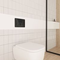 Клавиша смыва IDDIS Profix Air пневматическая, черный (PRA10B0i77) — фото 1, Кнопки смыва