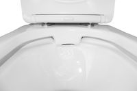 Товар: Унитаз-компакт Azario Wandy 350х614х795 напольный, безободковый, с быстросъемным сиденьем микролифт арт-AZ-56D - фото 5 Унитаз-компакт Azario Wandy 350х614х795 напольный, безободковый, с быстросъемным сиденьем микролифт арт-AZ-56D — фото 5, Напольные унитазы