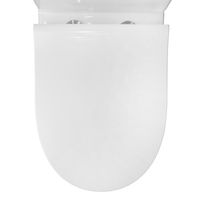 Унитаз-компакт Azario Mist 385х610х800 напольный, безободковый, с быстросъемным сиденьем микролифт арт-AZ-45 — фото 6, Напольные унитазы