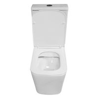 Унитаз напольный Azario Indor безободковый, в комплекте с бачком и сиденьем микролифт, дюропласт 820*630*360 арт-AZ-T004B-R — фото 3, Напольные унитазы