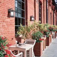 Настенный светильник (бра) Outdoor O031WL-01BR — фото 11, Уличное освещение