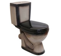 ЛИРА Унитаз-компакт наклон. вып., с арматурой, сиденьем, креплением, черный. ROSA Вн УнЧ10 — фото 1, Напольные унитазы