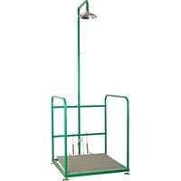 Аварийная платформа с душем SCP 800SS, шт SCP800SS — фото 1, Аксессуары и оборудование для общественных мест