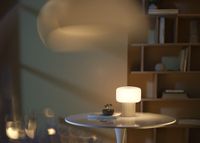 Настольный светильник Maytoni MOD404TL-01BG — фото 8, Настольные лампы