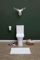 Чаша напольного унитаза Aquanet Rimless CL-12249B арт-Roll-C — фото 12, Напольные унитазы