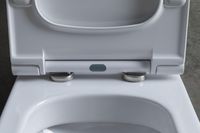 Товар: Чаша напольного унитаза Allen Brau Priority 4.31003.20 белый - фото 24 Чаша напольного унитаза Allen Brau Priority 4.31003.20 белый — фото 24, Напольные унитазы