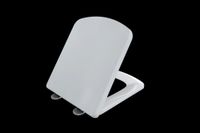 Крышка-сиденье для унитаза Allen Brau Liberty 4.33006.20 белый глянец — фото 1, Сиденья для унитаза