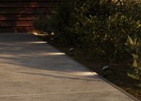 Товар: Ландшафтный светильник Outdoor O493FL-L3GF3K - фото 11 Ландшафтный светильник Outdoor O493FL-L3GF3K — фото 11, Уличное освещение