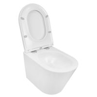 Унитаз подвесной Azario Teramo 515х355х365 безободковый, скрытое крепление, смыв "Торнадо", в комплекте с сидением микролифт арт-AZ-0053-UQ3 — фото 2, Подвесные унитазы