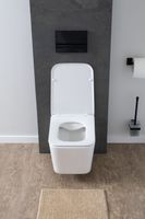 Унитаз подвесной Aquanet Rimless LX-1907 арт-Tavr 2.0 W — фото 9, Подвесные унитазы