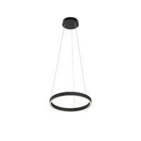 Товар: Подвесной светильник Maytoni MOD058PL-L22BK - фото 1 Подвесной светильник Maytoni MOD058PL-L22BK — фото 1, Подвесные светильники