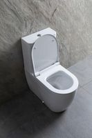 Товар: Чаша напольного унитаза Allen Brau Priority 4.31003.20 белый - фото 22 Чаша напольного унитаза Allen Brau Priority 4.31003.20 белый — фото 22, Напольные унитазы