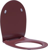 Крышка-сиденье для унитаза Allen Brau Fantasy Soft-Close 4.11005.BD бордо — фото 1, Сиденья для унитаза
