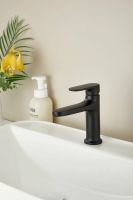 Смеситель для раковины BELZ , черный арт-B10713-7 — фото 2, Смесители для раковины