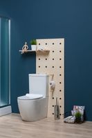 Товар: Чаша напольного унитаза Aquanet Rimless Cetus-C1 BL-102N-TPT - фото 26 Чаша напольного унитаза Aquanet Rimless Cetus-C1 BL-102N-TPT — фото 26, Напольные унитазы