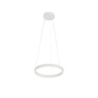 Подвесной светильник Maytoni MOD058PL-L22WK — фото 1, Подвесные светильники