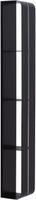 Полка Aquanet Магнум 15x100 черная матовая, вертикальная 00302226 — фото 1, Полки для ванной и душа