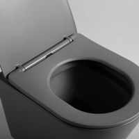 Товар: Унитаз подвесной Piatti VT1-11SMA, цвет антрацит матовый, ультратонкое soft-close сиденье - фото 6 Унитаз подвесной Piatti VT1-11SMA, цвет антрацит матовый, ультратонкое soft-close сиденье — фото 6, Подвесные унитазы