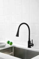 Смеситель для кухни с гибким изливом и режимом душ BELZ , черный арт-B74810-7 — фото 2, Смесители для кухни