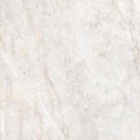 Керамогранит Adani_GT Беж. 60x60 _ 1\54,72 арт-GT606019202SPR — фото 8, Керамогранит