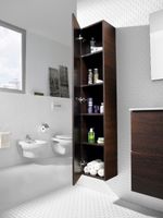 VICTORIA NORD Шкаф-колонна 30, венге, ROCA арт-ZRU9000025 — фото 5, Пеналы для ванной комнаты