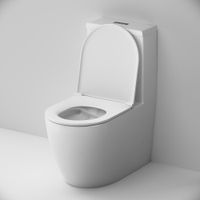 C8F8900SC Func Унитаз-моноблок безободковый с сиденьем — фото 3, Напольные унитазы