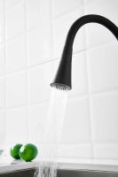 Смеситель для кухни с гибким изливом и режимом душ BELZ , черный арт-B74810-7 — фото 6, Смесители для кухни