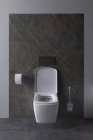 Унитаз Allen Brau Liberty 4.33004.20 подвесной Белый без сиденья — фото 36, Подвесные унитазы