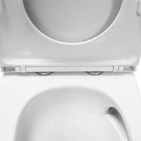 Унитаз-моноблок Azario Vally 690х360х760 напольный, слив "Торнадо", в комплекте с быстросъемным и сиденьем микролифт арт-AZ-80687 — фото 6, Напольные унитазы