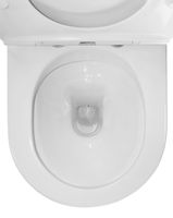 Унитаз-компакт Azario LANDER 410х665х835 напольный, безободковый, в комплекте с быстросъемным сиденьем "Микролифт" арт-AZ-1299A — фото 7, Напольные унитазы