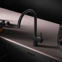 F8F07022 Func, смеситель для кухни с С-изливом, черный — фото 1, Смесители для кухни