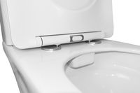 Товар: Унитаз-компакт Azario Vois 380х640х785 напольный, безободковый, в комплекте с быстросъемным сиденьем микролифт арт-AZ-1343В - фото 7 Унитаз-компакт Azario Vois 380х640х785 напольный, безободковый, в комплекте с быстросъемным сиденьем микролифт арт-AZ-1343В — фото 7, Напольные унитазы