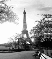 шторка д/в тканевая 180х180см "Эйфелева башня" MZ-70 — фото 1, Шторки на ванну