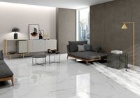 Плитка (1,44 кв.м.) арт-At.Portofino Brillo 60x60 — фото 3, Керамическая плитка