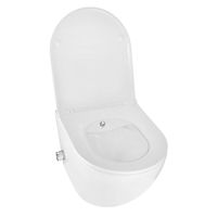 Унитаз подвесной Azario Grado 365х495х365 безободковый, с функцией биде, с быстросъемным сиденьем микролифт арт-AZ-046E-NR — фото 2, Подвесные унитазы