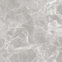 Товар: GT60601301MR-4 Керамогранит Solo_GT/MR Серый 60x60 _ 1\48,96 - фото 2 GT60601301MR-4 Керамогранит Solo_GT/MR Серый 60x60 _ 1\48,96 — фото 2, Керамогранит