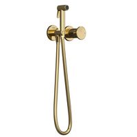 Встраиваемый смеситель c гигиеническим душем на 2 отверстия Arte Tera золото TESKA арт-T5537 — фото 1, Гигиенические души