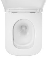 Унитаз подвесной Azario FOTE 340х480х350 безободковый, слив "Скрытое Торнадо", с быстросъемным сиденьем микролифт арт-AZ-116-UQ3 — фото 8, Подвесные унитазы