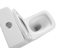 Унитаз-компакт Azario Terra 610х365х835 напольный, безободковый, система смыва "Скрытое торнадо", в комплекте с быстросъемным сиденьем микролифт арт-AZ-6003-A — фото 3, Напольные унитазы