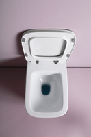 Унитаз Artceram A16 подвесной безободковый saniglaze турбо смыв the.reel цвет белый арт-ASV006 05 00 — фото 3, Подвесные унитазы