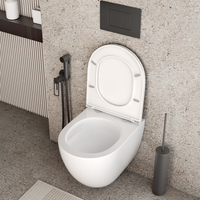 Товар: Унитаз подвесной Grossman GR-4455SQC (495х360х390) безободковый,белый с тонкой крышкой,микролифт,смыв торнадо,закрытое дно,1 место - фото 3 Унитаз подвесной Grossman GR-4455SQC (495х360х390) безободковый,белый с тонкой крышкой,микролифт,смыв торнадо,закрытое дно,1 место — фото 3, Подвесные унитазы