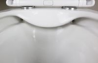 Товар: Унитаз подвесной Azario PRO 340х490х350 безободковый, в комплекте с быстросъемным сидением микролифт (PRO-002) арт-PRO-0002 - фото 4 Унитаз подвесной Azario PRO 340х490х350 безободковый, в комплекте с быстросъемным сидением микролифт (PRO-002) арт-PRO-0002 — фото 4, Подвесные унитазы