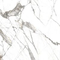 Керамогранит Everest_GT Белый 60x60 _ 1\43,2 арт-GT606013103MR — фото 2, Керамогранит