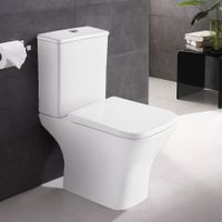 Товар: Унитаз-компакт Azario Nigel 365х615х795 напольный, безободковый, слив "Tornado", быстросъемное сиденье микролифт арт-AZ-55T - фото 2 Унитаз-компакт Azario Nigel 365х615х795 напольный, безободковый, слив "Tornado", быстросъемное сиденье микролифт арт-AZ-55T — фото 2, Напольные унитазы