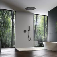 Душевая система встроенная с термостатом Timo Saona SX-2370/03SM черный — фото 1, Душевые системы