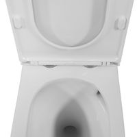 Товар: Унитаз-моноблок Azario Eagle 690х360х800 безободковый, слив "Торнадо", с быстросъемным сиденьем "Микролифт" арт-AZ-80673 - фото 6 Унитаз-моноблок Azario Eagle 690х360х800 безободковый, слив "Торнадо", с быстросъемным сиденьем "Микролифт" арт-AZ-80673 — фото 6, Напольные унитазы