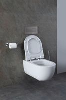 Товар: Унитаз Allen Brau Priority 4.31001.20 подвесной без сиденья - фото 44 Унитаз Allen Brau Priority 4.31001.20 подвесной без сиденья — фото 44, Подвесные унитазы