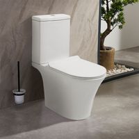 Товар: Унитаз-компакт Azario Verde 650х380х790 напольный, безободковый, с быстросъемным сиденьем микролифт арт-AZ-8220 - фото 14 Унитаз-компакт Azario Verde 650х380х790 напольный, безободковый, с быстросъемным сиденьем микролифт арт-AZ-8220 — фото 14, Напольные унитазы