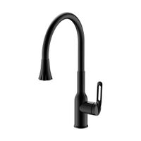 Смеситель для кухни с гибким изливом и режимом душ Haiba , черный арт-HB42830-7 — фото 1, Смесители для кухни